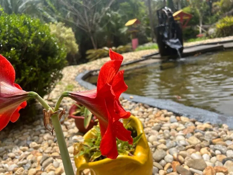 Nyaraló Piscina Coberta 32G Casa 3 Quartos E Hidro Santo Amaro da Imperatriz Brazília