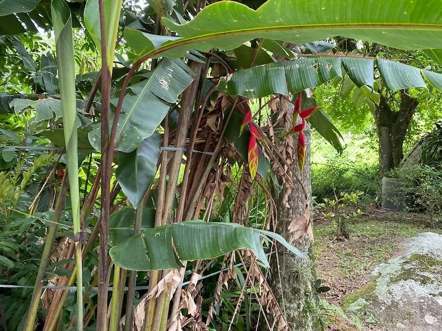 Piscina Coberta 32G Casa 3 Quartos E Hidro Santo Amaro da Imperatriz Brésil